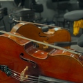 violoncellos 2