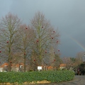 still xmas in 3 tilleuls