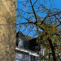Cerisier reliant une corneille et son ombre