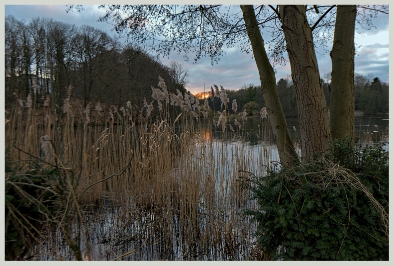 darktable.AXIBI1.jpg