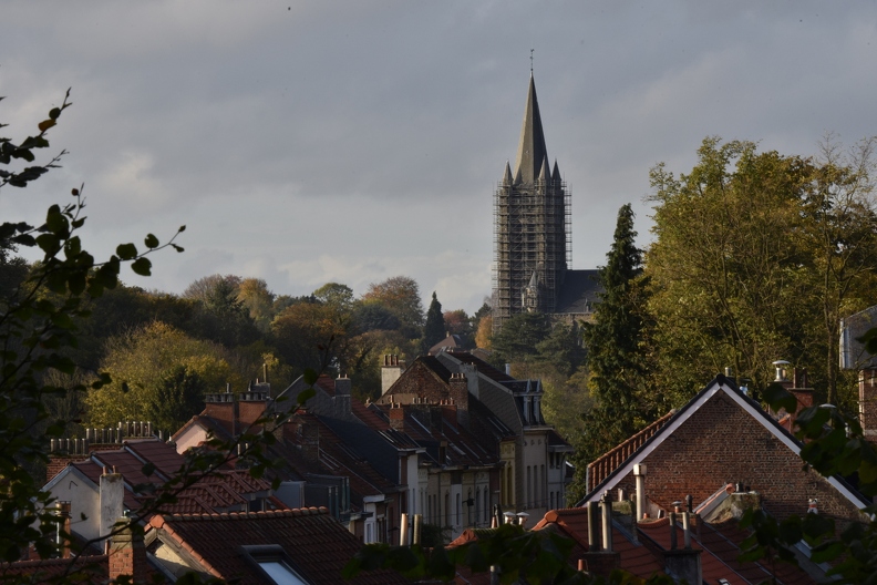 dsc_3503.jpg