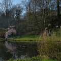 Parc Tournay-Solvay